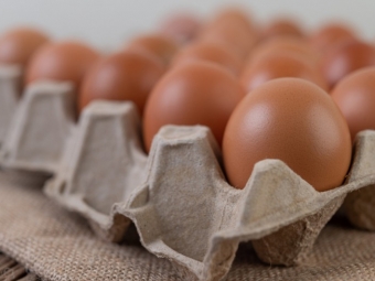 Астраханцы могут купить яйца напрямую у птицефабрик