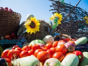 На агрономическом фестивале можно купить сельхозпродукцию по низким ценам