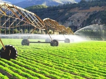 Азербайджан совместно с международными организациями разрабатывает механизмы развития агростартапов
