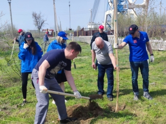 Астраханские судостроители ОСК высадили деревья в память о погибших в годы ВОВ