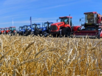 Аграрии Костанайской области завершили уборку зерновых культур