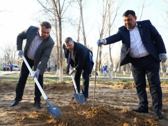 В Астраханской области высадили первые деревья в рамках акции «Сад памяти»