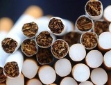 Tabaterra наладит производство сигарет в Сумгайыте