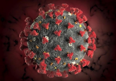 В Иране удалось создать тест-систему, которая позволяет выявлять коронавирус за полминуты