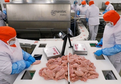 ТОЧКА ЗРЕНИЯ: В России практически остановился рост производства курицы