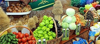 Дашогузский велаят выполнил годовые обязательства по производству фруктов и овощей
