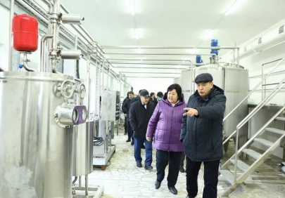 В Туркестанской области откроется цех по переработке верблюжьего молока