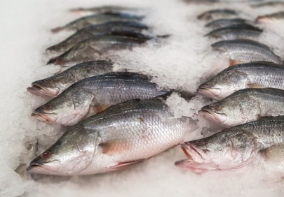 Рыбная продукция с Каспия пойдет на экспорт в страны ЕС