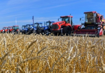 Аграрии Костанайской области завершили уборку зерновых культур