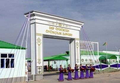 В юго-восточном регионе Туркменистана открылся новый завод по производству ДСП