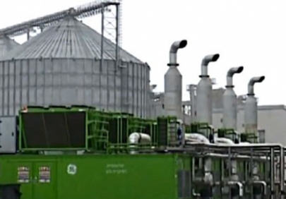 Немецкие бизнесмены уже год не могут построить в Казахстане биогазовый завод