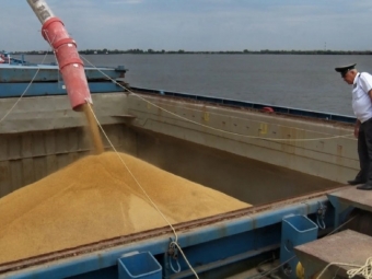Морской экспорт зерна из Астраханской области в ноябре превысил 340 тыс. т