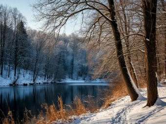 Новое в законодательстве России с 1 февраля 2026 года