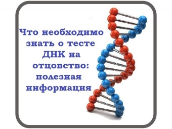 Что необходимо знать о тесте ДНК на отцовство: полезная информация