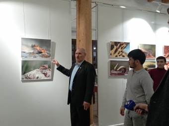 Уникальная природа Богдинско-Баскунчакского заповедника представлена на выставке в Астраханском кремле