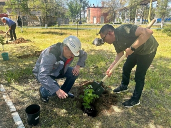 Астраханские судостроители высадили деревья в память о ветеранах завода