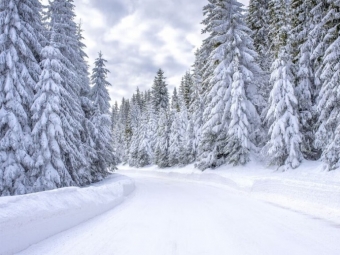 Новое в законодательстве России с 1 декабря 2025 года