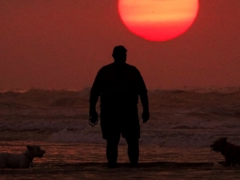 Число россиян с ожирением за год выросло более чем на полмиллиона