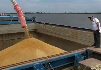 Морской экспорт зерна из Астраханской области в ноябре превысил 340 тыс. т
