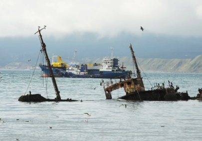 Судостроители против рыбопромышленников: Минтранс предложил запрет старых судов