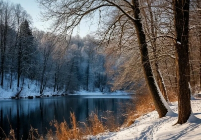 Новое в законодательстве России с 1 февраля 2026 года