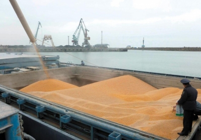 Из порта Оля отправлено на экспорт в Иран около 12 тысяч тонн зерна